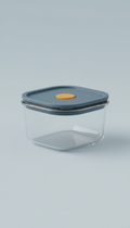 Glass Vacuum-Seal Storage Container